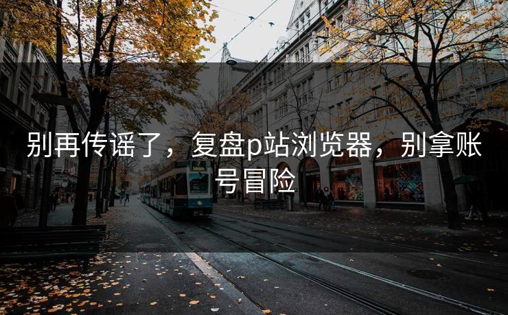 别再传谣了，复盘p站浏览器，别拿账号冒险