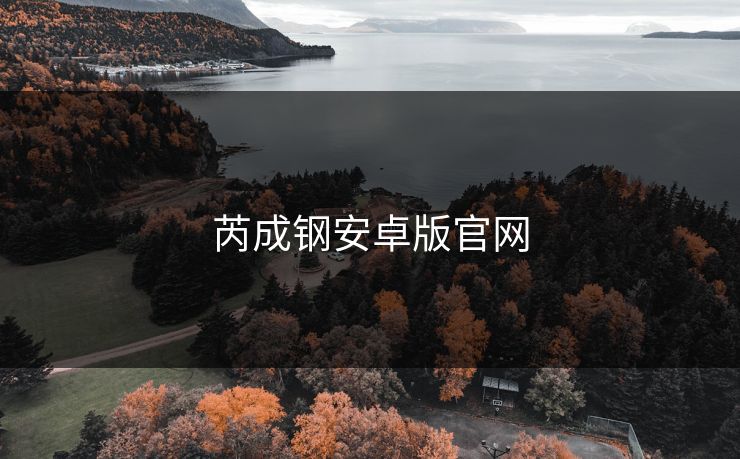 芮成钢安卓版官网 芮成钢安卓版官网
